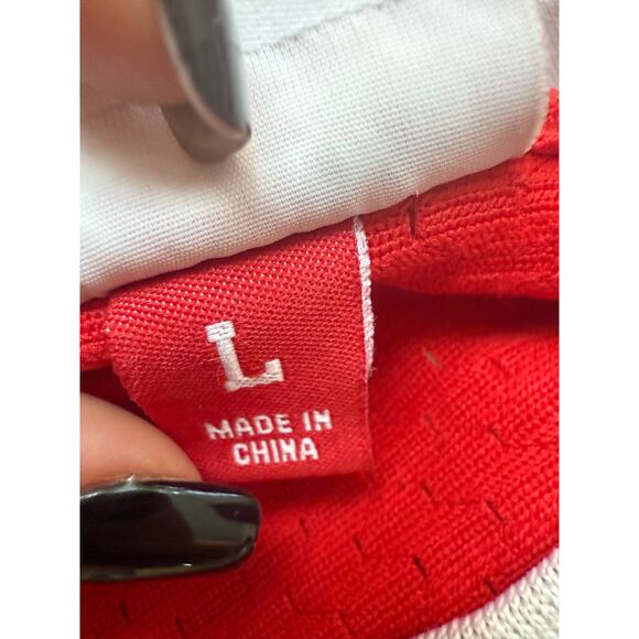 NBA Jersey Chicago Bulls Scottie Pippen 33 sz L - Picture 14 of 14